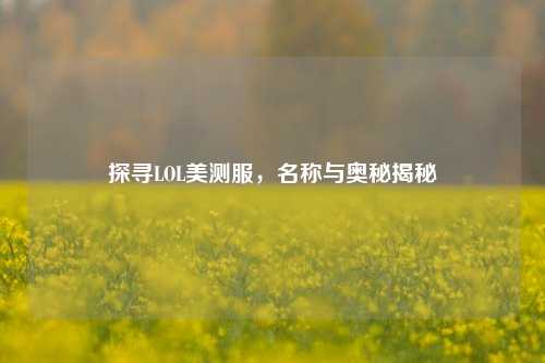 探寻LOL美测服,名称与奥秘揭秘