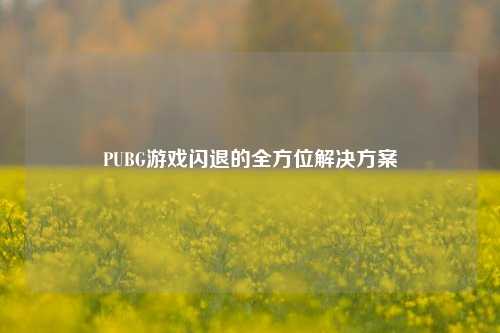PUBG游戏闪退的全方位解决方案