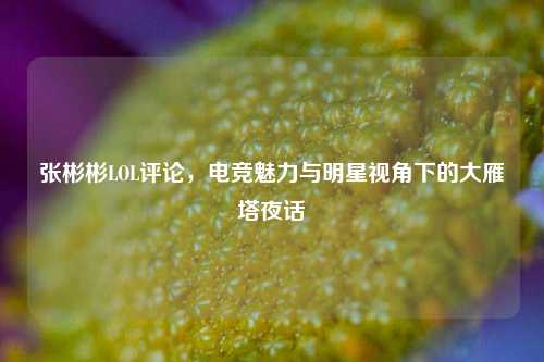 张彬彬LOL评论,电竞魅力与明星视角下的大雁塔夜话