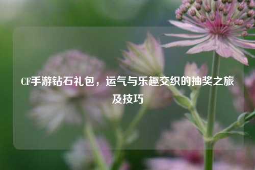 CF手游钻石礼包,运气与乐趣交织的抽奖之旅及技巧