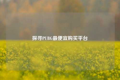 探寻PUBG更便宜购买平台