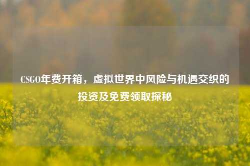 CSGO年费开箱,虚拟世界中风险与机遇交织的投资及免费领取探秘