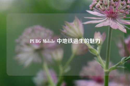 PUBG Mobile 中地铁逃生的魅力