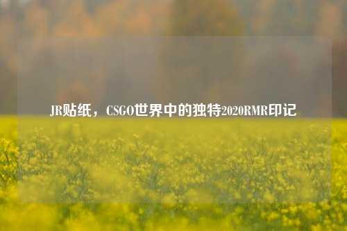JR贴纸,CSGO世界中的独特2020RMR印记