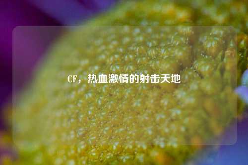 CF,热血***的射击天地