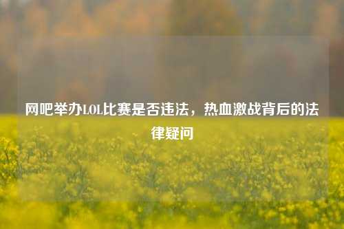 网吧举办LOL比赛是否违法,热血激战背后的法律疑问