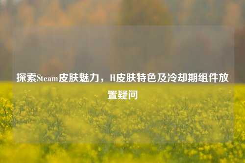 探索Steam皮肤魅力,H皮肤特色及冷却期组件放置疑问