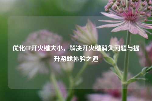 优化CF开火键大小,解决开火键消失问题与提升游戏体验之道