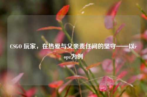 CSGO 玩家,在热爱与父亲责任间的坚守——以ropz为例