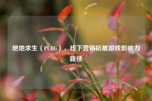 绝地求生(PUBG),线下营销拓展游戏影响力新径