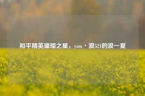 和平精英璀璨之星,yzm丶浪521的浪一夏