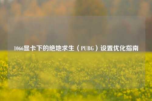1066显卡下的绝地求生(PUBG)设置优化指南