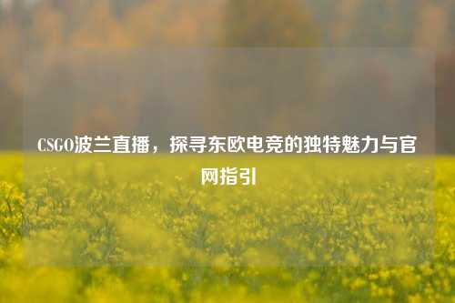 CSGO波兰直播,探寻东欧电竞的独特魅力与官网指引