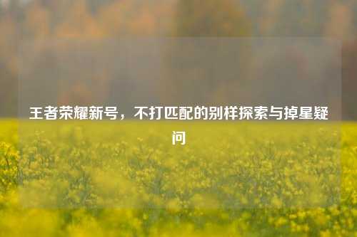 王者荣耀新号,不打匹配的别样探索与掉星疑问