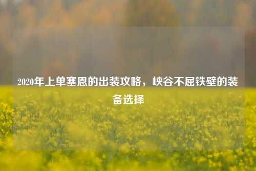 2020年上单塞恩的出装攻略,峡谷不屈铁壁的装备选择