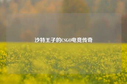 沙特王子的CSGO电竞传奇