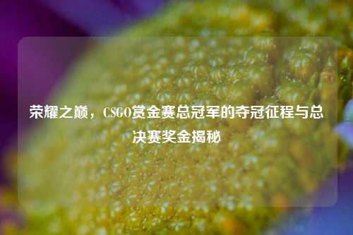 荣耀之巅,CSGO赏金赛总冠军的夺冠征程与总决赛奖金揭秘