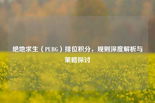 绝地求生(PUBG)排位积分,规则深度解析与策略探讨