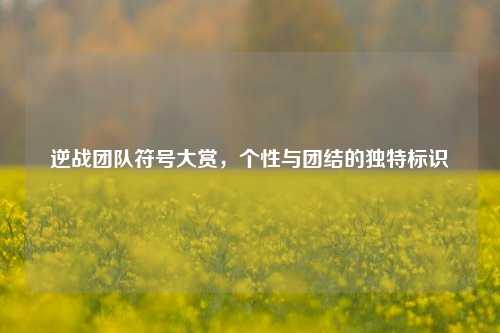 逆战团队符号大赏,个性与团结的独特标识