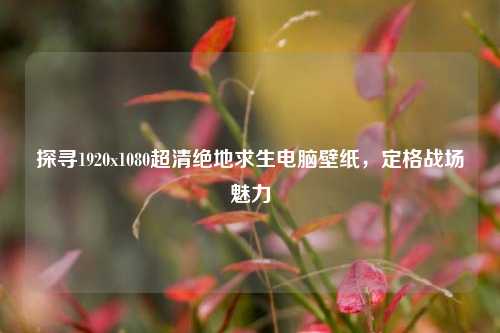 探寻1920x1080超清绝地求生电脑壁纸,定格战场魅力