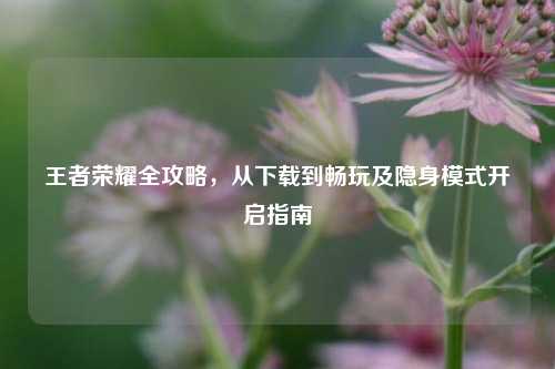 王者荣耀全攻略,从下载到畅玩及隐身模式开启指南