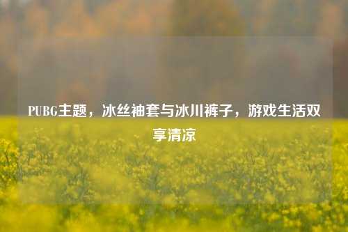 PUBG主题,冰丝袖套与冰川裤子,游戏生活双享清凉