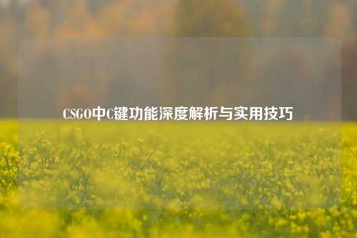 CSGO中C键功能深度解析与实用技巧