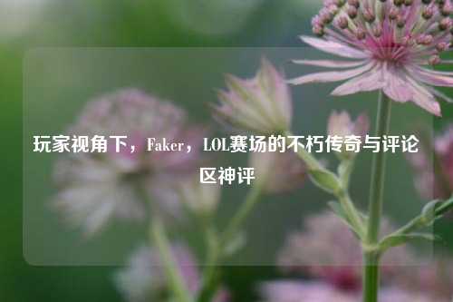 玩家视角下,Faker,LOL赛场的不朽传奇与评论区神评