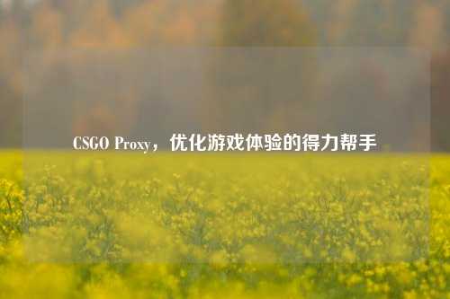 CSGO Proxy,优化游戏体验的得力帮手