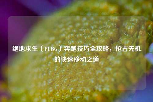 绝地求生(PUBG)奔跑技巧全攻略,抢占先机的快速移动之道