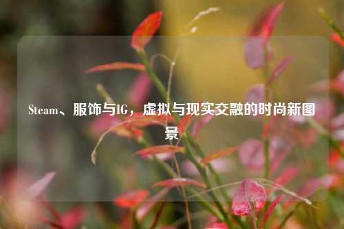 Steam、服饰与IG,虚拟与现实交融的时尚新图景