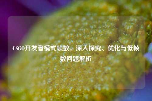CSGO开发者模式帧数,深入探究、优化与低帧数问题解析