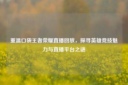 重温口袋王者荣耀直播回放,探寻英雄竞技魅力与直播平台之谜