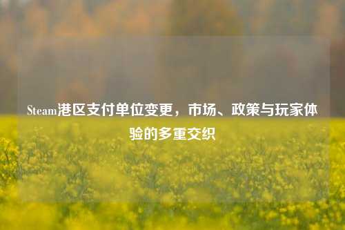 Steam港区支付单位变更,市场、政策与玩家体验的多重交织