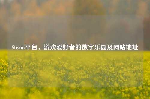 Steam平台,游戏爱好者的数字乐园及网站地址