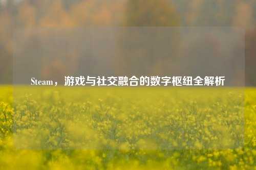 Steam,游戏与社交融合的数字枢纽全解析