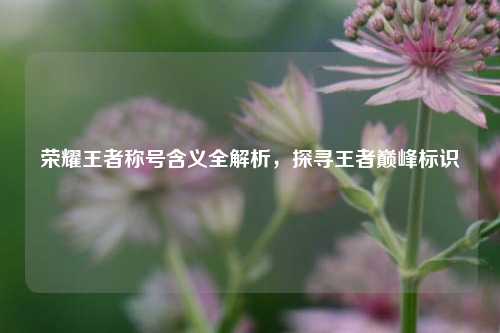 荣耀王者称号含义全解析,探寻王者巅峰标识