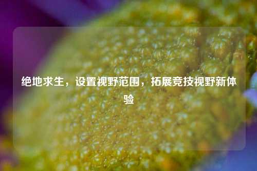 绝地求生,设置视野范围,拓展竞技视野新体验