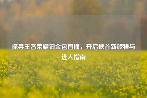 探寻王者荣耀铂金包直播,开启峡谷新旅程与进入指南