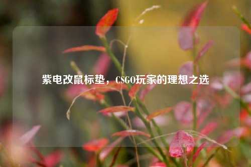 紫电改鼠标垫,CSGO玩家的理想之选