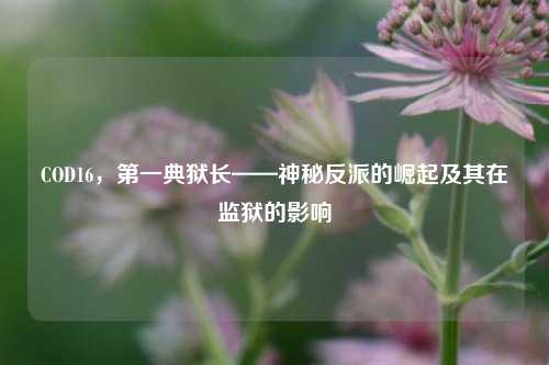 COD16,之一典狱长——神秘反派的崛起及其在监狱的影响