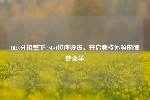 1024分辨率下CSGO拉伸设置,开启竞技体验的微妙变革