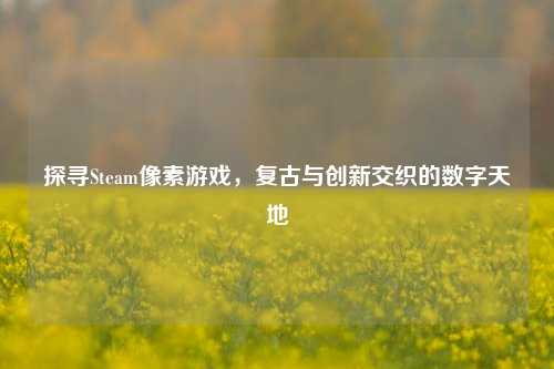 探寻Steam像素游戏,复古与创新交织的数字天地