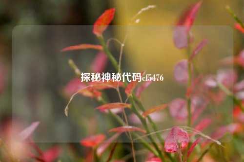 探秘神秘代码cf5476